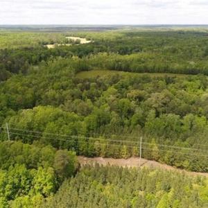 Photo of UNDER CONTRACT!!  17.95 Acres of Residential Land for Sale in Caroline Co VA