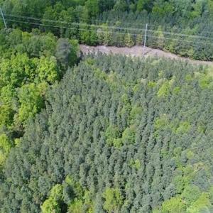 Photo of UNDER CONTRACT!!  17.95 Acres of Residential Land for Sale in Caroline Co VA
