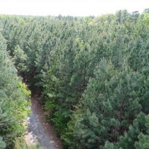 Photo of UNDER CONTRACT!!  17.95 Acres of Residential Land for Sale in Caroline Co VA