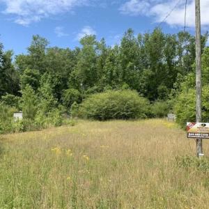 Photo of SOLD!!  16.9 Acres of Timber and Recreational Land For Sale in Sampson County NC!
