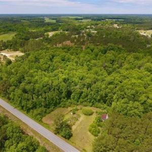 Photo of SOLD!!  16.9 Acres of Timber and Recreational Land For Sale in Sampson County NC!