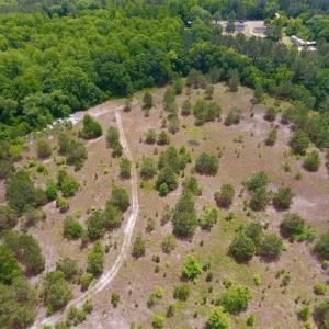 Photo of SOLD!!  16.9 Acres of Timber and Recreational Land For Sale in Sampson County NC!