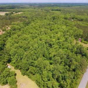 Photo of SOLD!!  16.9 Acres of Timber and Recreational Land For Sale in Sampson County NC!