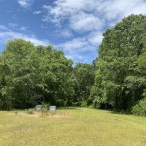 Photo of SOLD!!  16.9 Acres of Timber and Recreational Land For Sale in Sampson County NC!