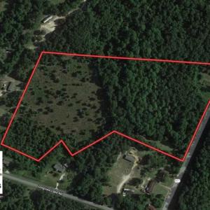 Photo of SOLD!!  16.9 Acres of Timber and Recreational Land For Sale in Sampson County NC!