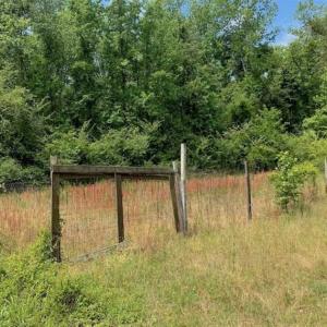 Photo of SOLD!!  16.9 Acres of Timber and Recreational Land For Sale in Sampson County NC!