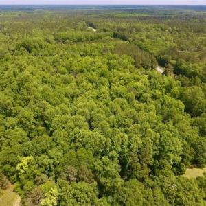 Photo of SOLD!!  16.9 Acres of Timber and Recreational Land For Sale in Sampson County NC!