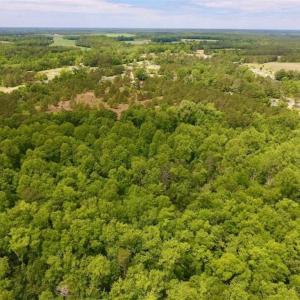 Photo of SOLD!!  16.9 Acres of Timber and Recreational Land For Sale in Sampson County NC!