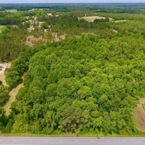 Photo of SOLD!!  16.9 Acres of Timber and Recreational Land For Sale in Sampson County NC!