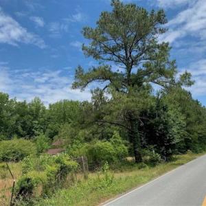 Photo of SOLD!!  16.9 Acres of Timber and Recreational Land For Sale in Sampson County NC!