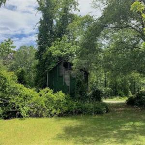 Photo of SOLD!!  16.9 Acres of Timber and Recreational Land For Sale in Sampson County NC!