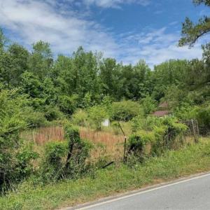 Photo of SOLD!!  16.9 Acres of Timber and Recreational Land For Sale in Sampson County NC!