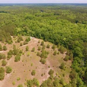 Photo of SOLD!!  16.9 Acres of Timber and Recreational Land For Sale in Sampson County NC!