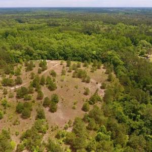 Photo of SOLD!!  16.9 Acres of Timber and Recreational Land For Sale in Sampson County NC!