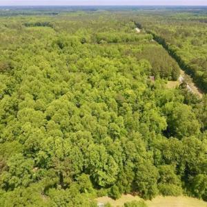Photo of SOLD!!  16.9 Acres of Timber and Recreational Land For Sale in Sampson County NC!