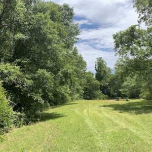 Photo of SOLD!!  16.9 Acres of Timber and Recreational Land For Sale in Sampson County NC!