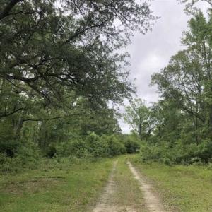 Photo of UNDER CONTRACT!!  67 Acres of Development Land For Sale in Brunswick County NC!