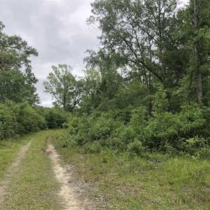Photo of UNDER CONTRACT!!  67 Acres of Development Land For Sale in Brunswick County NC!