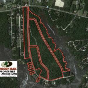 Photo of UNDER CONTRACT!!  67 Acres of Development Land For Sale in Brunswick County NC!