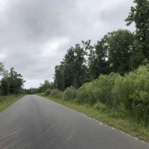 Photo of UNDER CONTRACT!!  67 Acres of Development Land For Sale in Brunswick County NC!