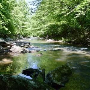 Photo of SOLD!!  24 Acres of Hunting and Recreational Land For Sale in Bedford County VA!