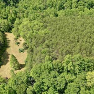 Photo of SOLD!!  24 Acres of Hunting and Recreational Land For Sale in Bedford County VA!