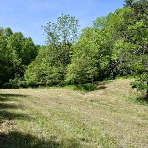 Photo of SOLD!!  24 Acres of Hunting and Recreational Land For Sale in Bedford County VA!