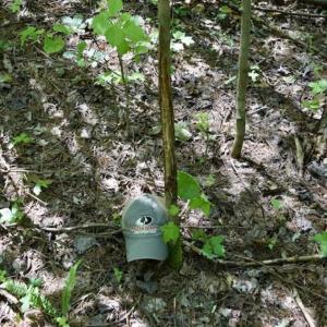 Photo of SOLD!!  24 Acres of Hunting and Recreational Land For Sale in Bedford County VA!