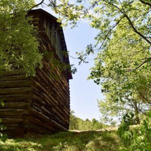 Photo of SOLD!!  24 Acres of Hunting and Recreational Land For Sale in Bedford County VA!