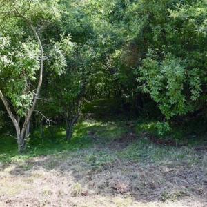 Photo of SOLD!!  24 Acres of Hunting and Recreational Land For Sale in Bedford County VA!