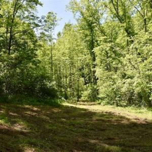 Photo of SOLD!!  24 Acres of Hunting and Recreational Land For Sale in Bedford County VA!
