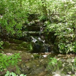 Photo of SOLD!!  24 Acres of Hunting and Recreational Land For Sale in Bedford County VA!