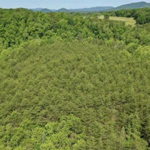 Photo of SOLD!!  24 Acres of Hunting and Recreational Land For Sale in Bedford County VA!