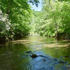 Photo of SOLD!!  24 Acres of Hunting and Recreational Land For Sale in Bedford County VA!