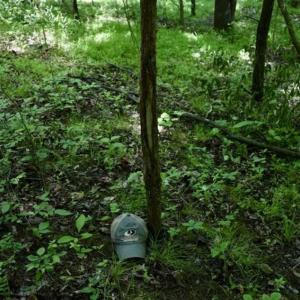 Photo of SOLD!!  24 Acres of Hunting and Recreational Land For Sale in Bedford County VA!