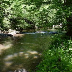 Photo of SOLD!!  24 Acres of Hunting and Recreational Land For Sale in Bedford County VA!