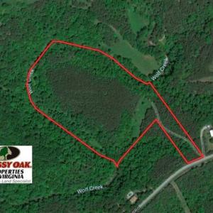 Photo of SOLD!!  24 Acres of Hunting and Recreational Land For Sale in Bedford County VA!