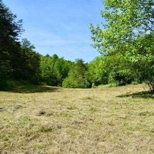 Photo of SOLD!!  24 Acres of Hunting and Recreational Land For Sale in Bedford County VA!