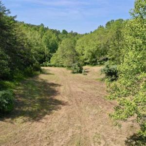 Photo of SOLD!!  24 Acres of Hunting and Recreational Land For Sale in Bedford County VA!