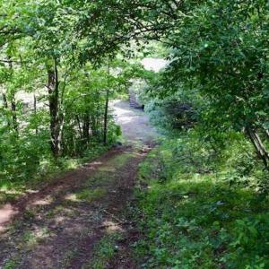 Photo of SOLD!!  24 Acres of Hunting and Recreational Land For Sale in Bedford County VA!