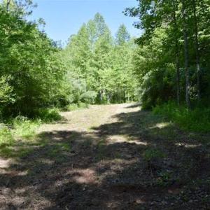 Photo of SOLD!!  24 Acres of Hunting and Recreational Land For Sale in Bedford County VA!