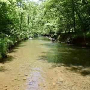 Photo of SOLD!!  24 Acres of Hunting and Recreational Land For Sale in Bedford County VA!