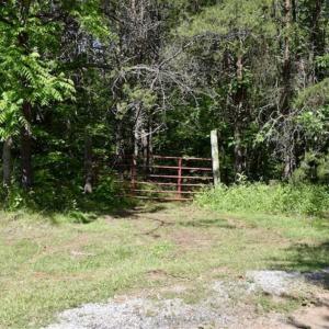 Photo of SOLD!!  24 Acres of Hunting and Recreational Land For Sale in Bedford County VA!