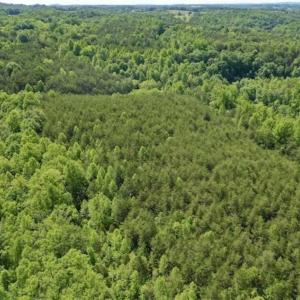 Photo of SOLD!!  24 Acres of Hunting and Recreational Land For Sale in Bedford County VA!