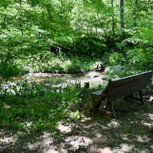 Photo of SOLD!!  24 Acres of Hunting and Recreational Land For Sale in Bedford County VA!