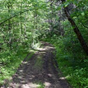 Photo of SOLD!!  24 Acres of Hunting and Recreational Land For Sale in Bedford County VA!