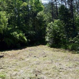 Photo of SOLD!!  24 Acres of Hunting and Recreational Land For Sale in Bedford County VA!