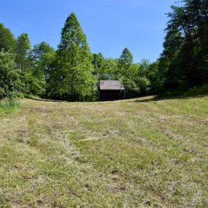 Photo of SOLD!!  24 Acres of Hunting and Recreational Land For Sale in Bedford County VA!
