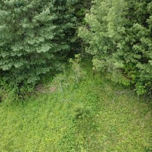 Photo of 15.67 Acres of Residential and Hunting Land For Sale in Pulaski County VA!
