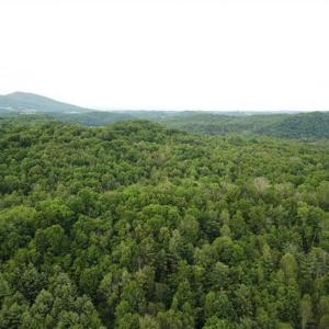 Photo of 15.67 Acres of Residential and Hunting Land For Sale in Pulaski County VA!